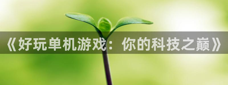 杏宇娱乐登录官网入口：《好玩单机游戏：你的科技之巅》