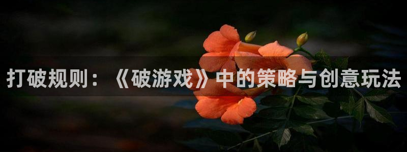 杏宇：打破规则：《破游戏》中的策略与创意玩法
