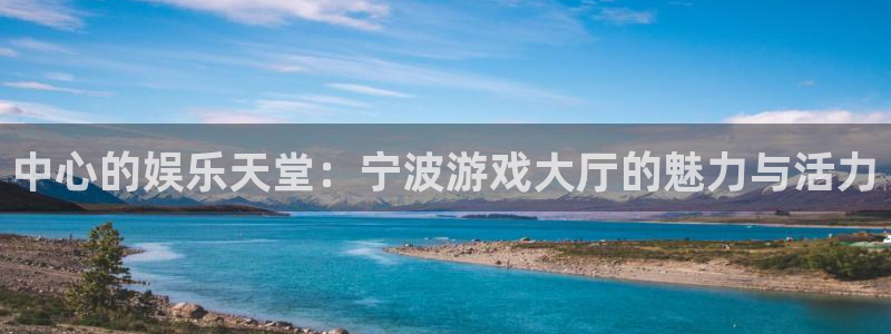 杏宇娱乐登录官网：中心的娱乐天堂：宁波游戏大厅的魅力与活力