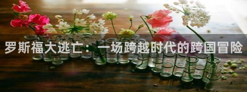 杏宇娱乐登录官网：罗斯福大逃亡：一场跨越时代的跨国冒险