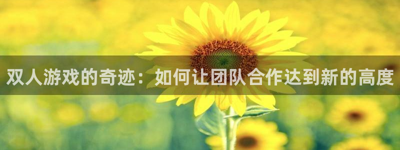 杏宇总代理：双人游戏的奇迹：如何让团队合作达到新的高度