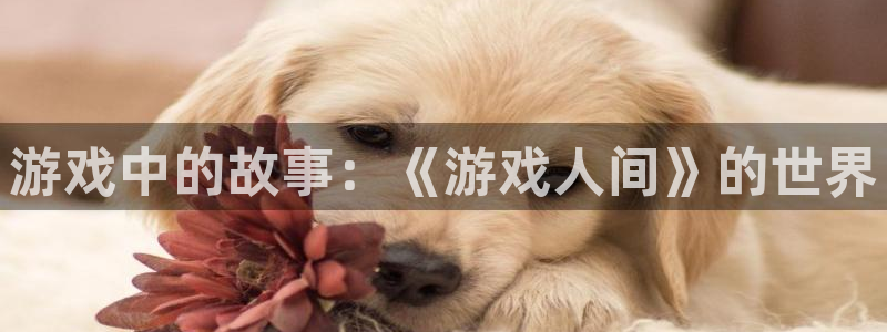 杏宇娱乐登录官网网址：游戏中的故事：《游戏人间》的世界