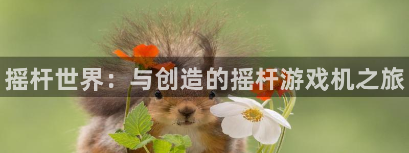 杏宇娱乐登录官网入口网址：摇杆世界：与创造的摇杆游戏机之旅