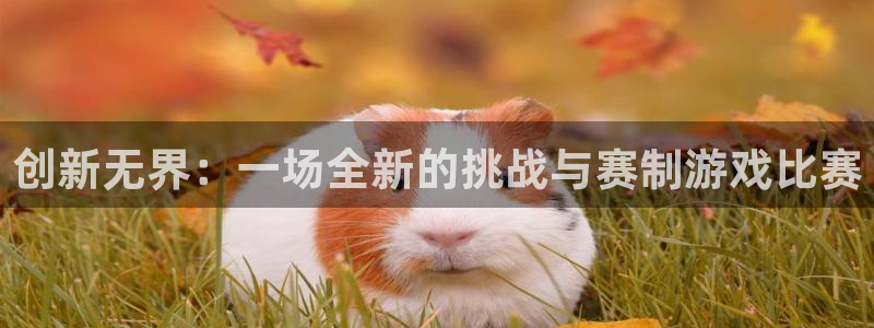 杏宇平台登陆入口：创新无界：一场全新的挑战与赛制游戏比赛